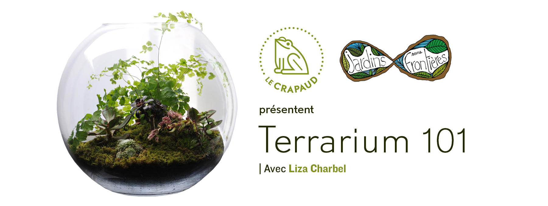 fcbk - Terrarium