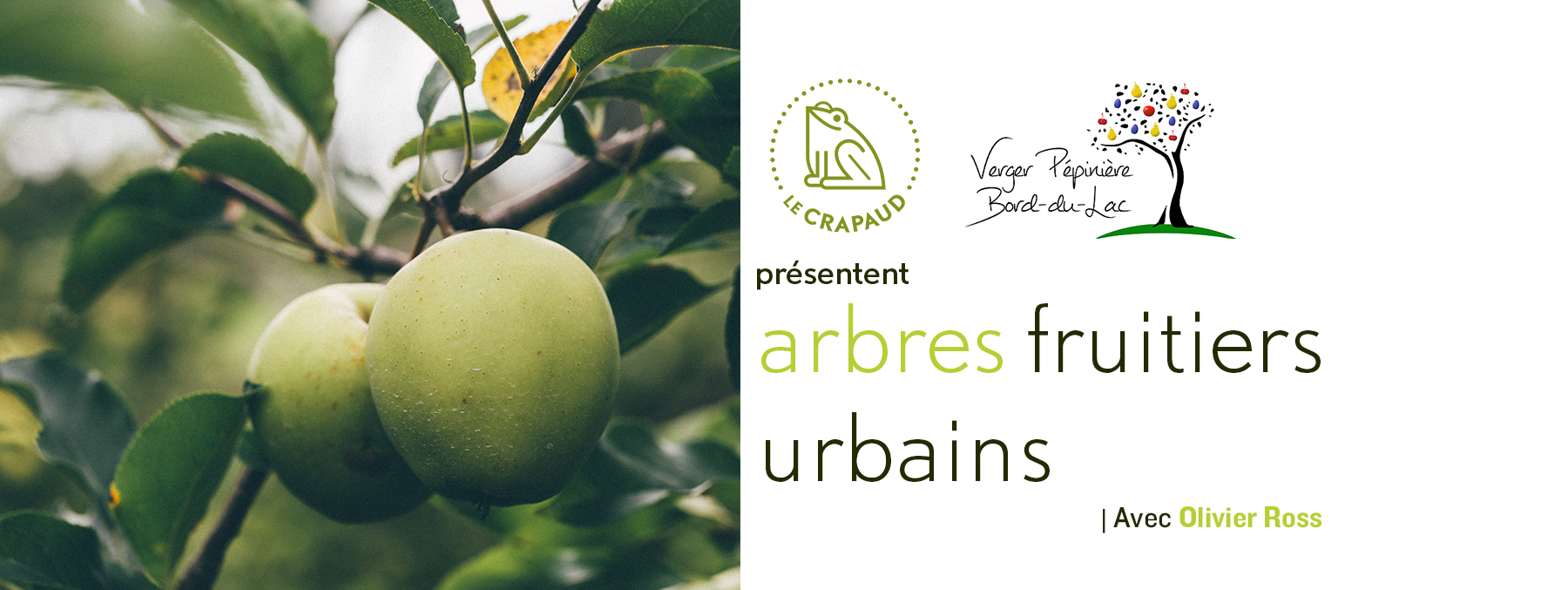 fcbk - Arbres Fruitiers Urbains