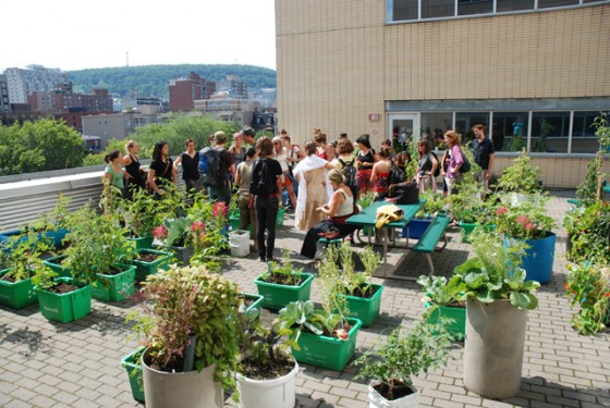 Offres d’emploi | Animation horticole, horticulture et gestion des matières résiduelles organiques