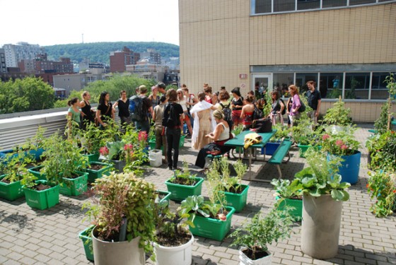 Offres d’emploi | Animation horticole, horticulture et gestion des matières résiduelles organiques