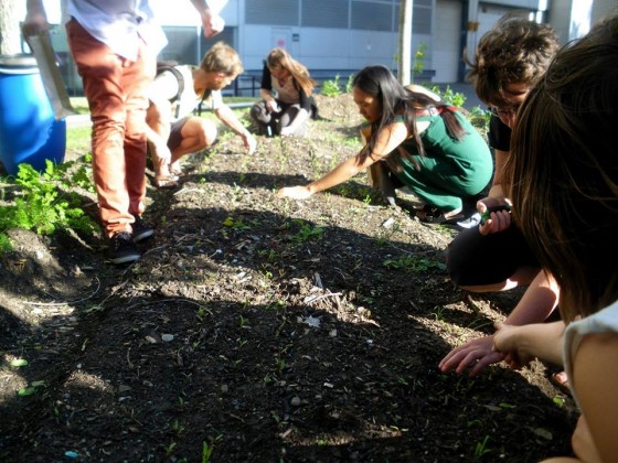 Fête d’ouverture des jardins du CRAPAUD vendredi le 5 juin!