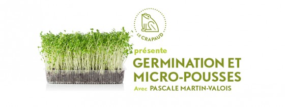 Atelier Germination et pousses : de la fraîcheur et de l’énergie dans ton bedon!  (Gratuit et ouvert à tous)