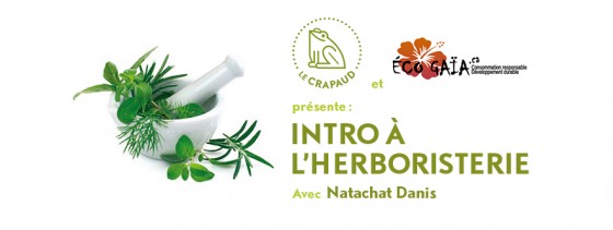 Atelier Intro à l’herboristerie