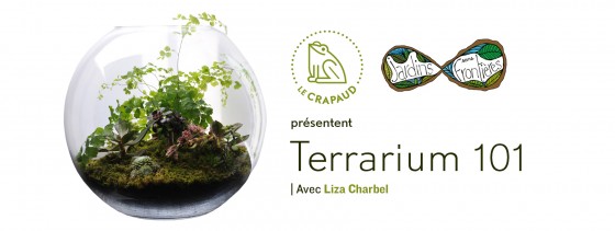 Atelier Comment faire un terrarium !