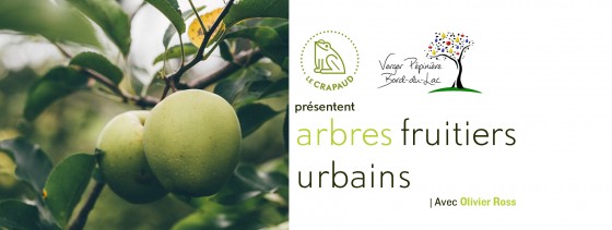 Formation sur Les Arbres Fruitiers Urbains